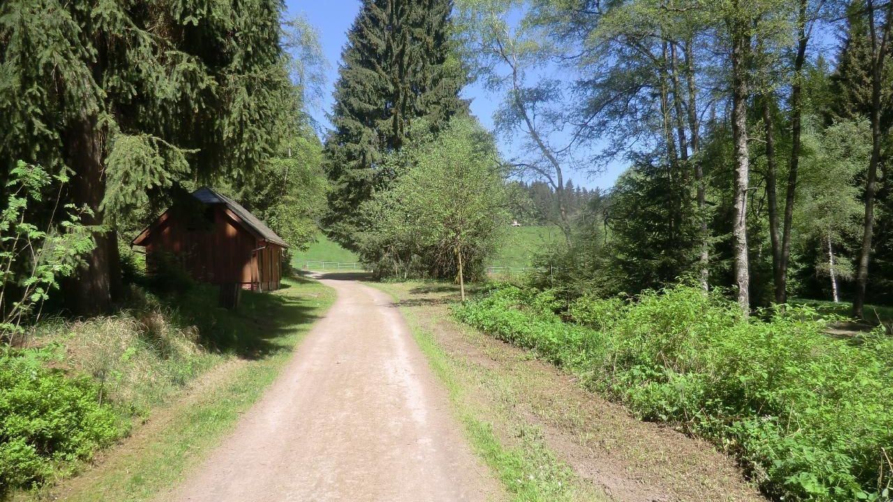 Weg zum Stausee Schönheide Weg zum Stausee Schönheide